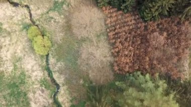 Avrupa bahar manzara havadan görünümü