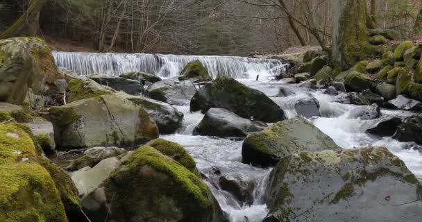 Waterfall on small river in springtime — Stock Video