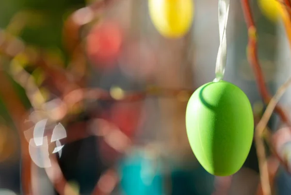 Huevos de Pascua en el árbol con bokeh — Foto de Stock