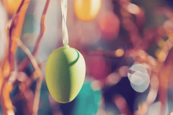 Easter eggs on tree with bokeh — Stock Photo, Image
