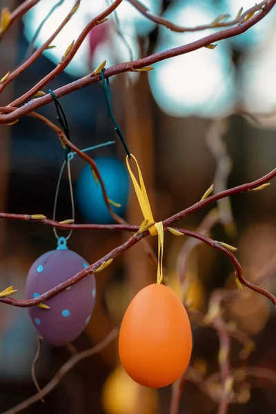 复活节彩蛋在树上与 bokeh — 图库照片