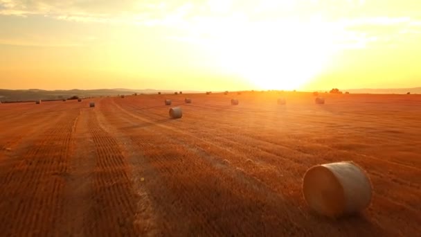 Campo cosechado con fardos de paja en verano — Vídeos de Stock