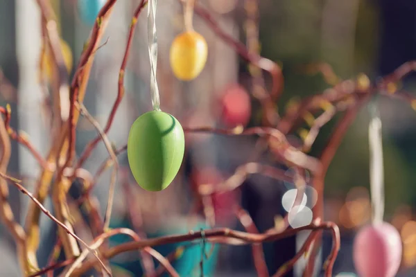 Easter eggs on tree with bokeh — Stock Photo, Image