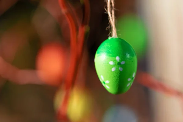 Pasen eieren op boom met bokeh — Stockfoto