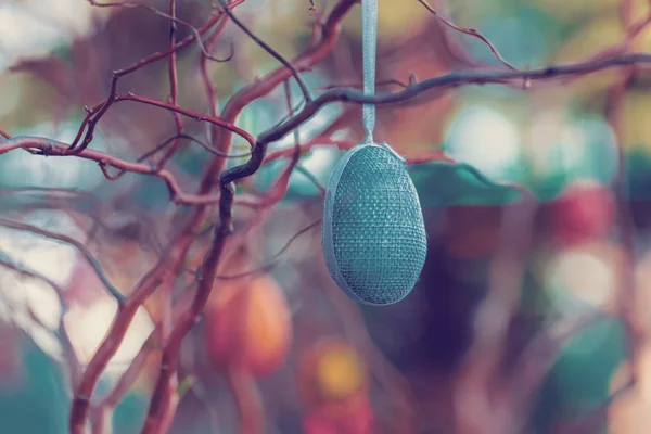 Easter eggs on tree with bokeh — Stock Photo, Image