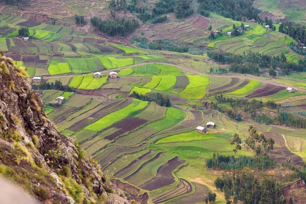 Agricultura terraços campos na Etiópia — Fotografia de Stock