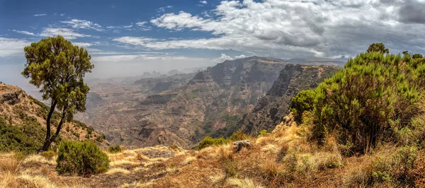 Семен или горы Симиен, Эфиопия — стоковое фото