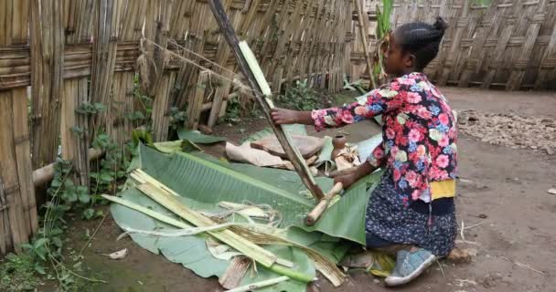 Африканська жінка Dorze етнічної групи готується injera — стокове відео