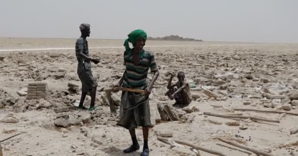 Sal de minería a distancia en la depresión de Danakil, Etiopía — Vídeo de stock