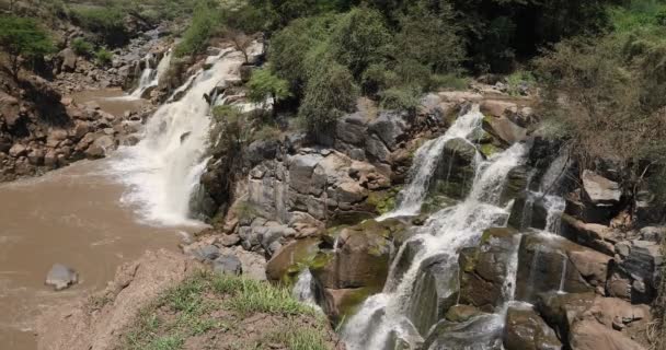 Waterval in Awash National Park — Stockvideo