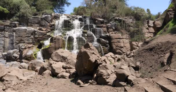 Cascata nel Parco Nazionale di Awash — Video Stock