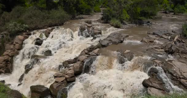 Vattenfall i Awash nationalpark — Stockvideo