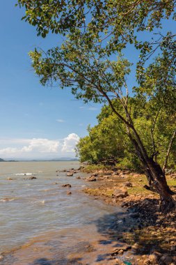 Etiyopya'daki Tana Gölü, Zege Yarımadası