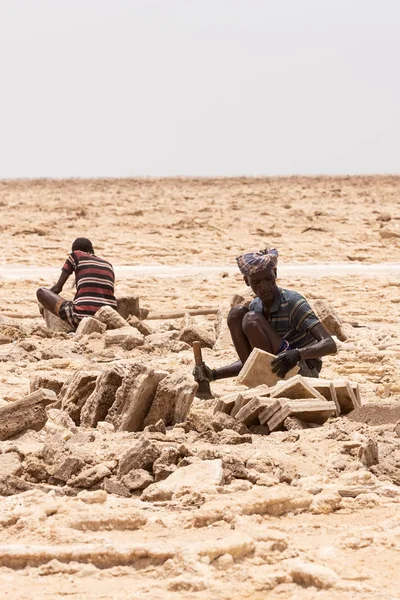 Καραβάνι καμήλα και Afar μεταλλευτικό αλάτι σε Danakil κατάθλιψη, Αιθιοπία — Φωτογραφία Αρχείου