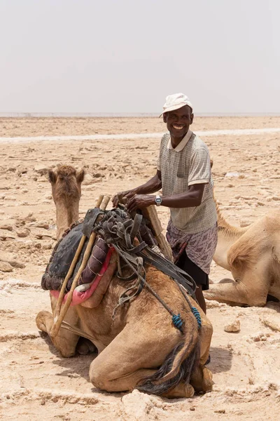 Caravana de camelo e sal de mineração Afar em Danakil depressão, Etiópia — Fotografia de Stock