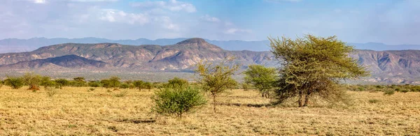Savanna in the Awash National Park, Ethiopia — Stock Photo, Image