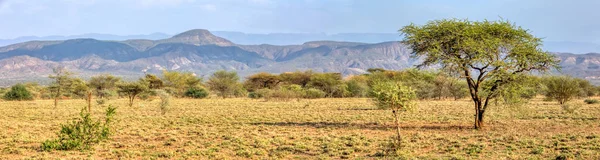 Savane dans le parc national d'Awash, Éthiopie — Photo