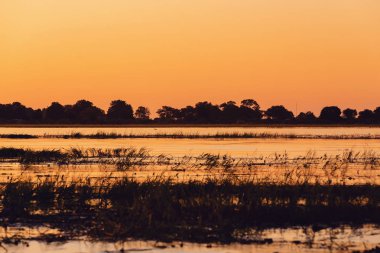 Chobe nehri üzerinde Afrika gün batımı, Botsvana
