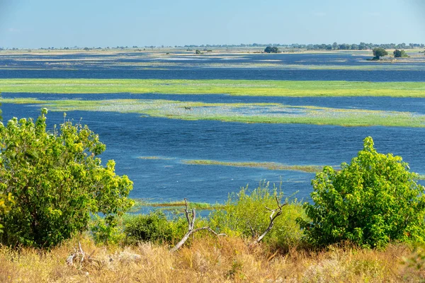 Paisagem do rio Chobe, Botsuana África — Fotografia de Stock