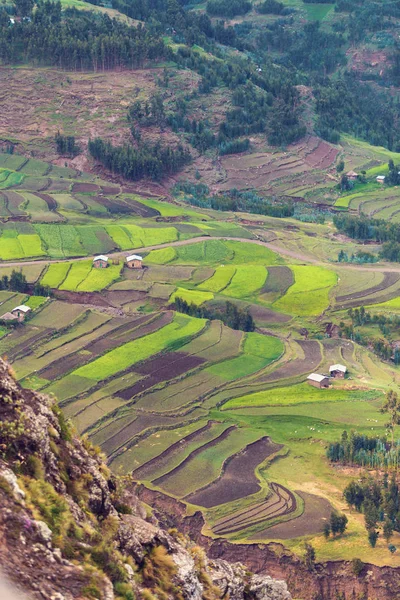 Agricultura campo terraços campos na Etiópia — Fotografia de Stock