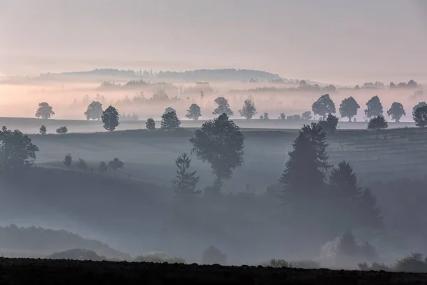 Sonbahar sisli ve sisli gündoğumu manzara — Stok fotoğraf