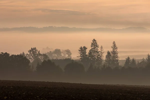 Autunno nebbioso e nebbioso paesaggio all'alba — Foto Stock