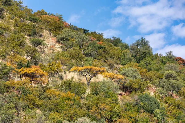 Paesaggio Parco nazionale di Pilanesberg, Sud Africa — Foto Stock