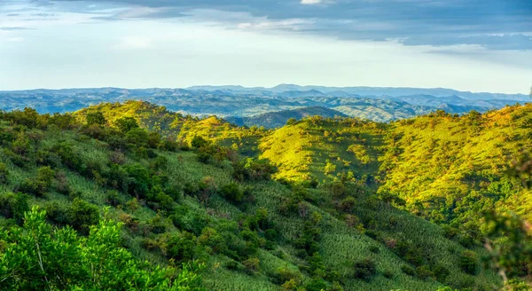 Parco Nazionale di Mago, Valle dell'Omo, Etiopia — Foto Stock