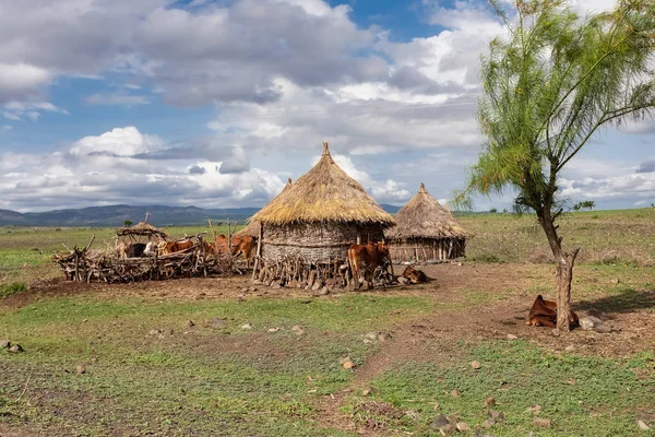 Mountain landscape with farm, Ethiopia — Stock Photo, Image