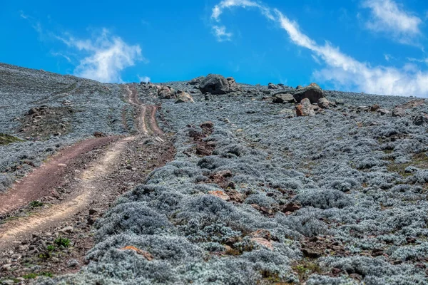 Paisaje de Bale Mountain — Foto de Stock