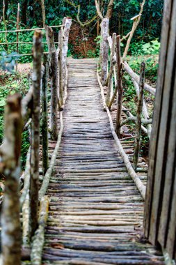 Yağmur ormanlarında Ahşap Köprü Peyzaj, Madagaskar