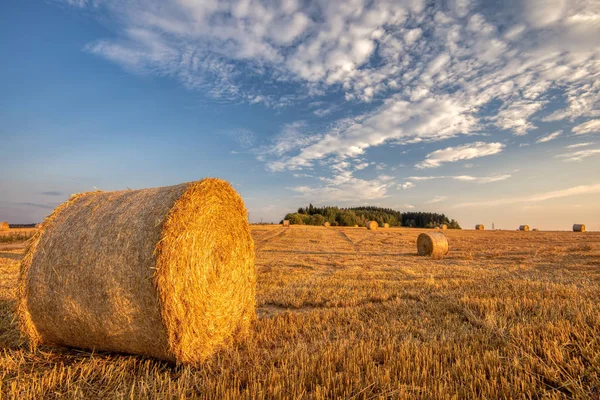 Harvested field with straw bales in summer — Stock Photo, Image