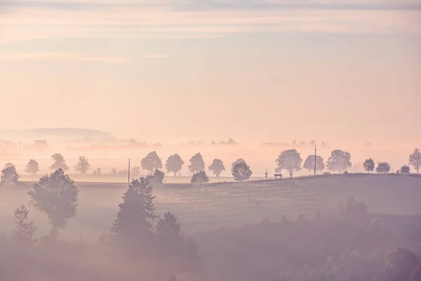 Autunno nebbioso e nebbioso paesaggio alba — Foto Stock