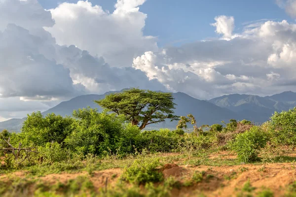 Parque Nacional del Mago, Valle del Omo, Etiopía —  Fotos de Stock