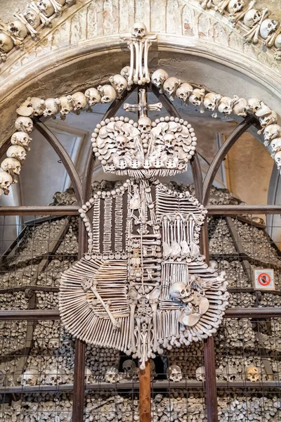 オススアリー・セドレック・コスニスの人間の頭蓋骨と骨 — ストック写真