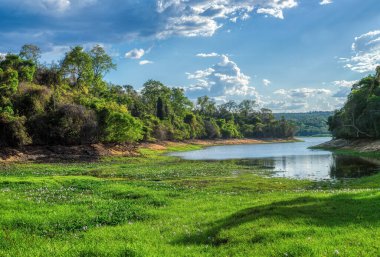 Ankarafantsika Park, Madagaskar yağmur ormanları