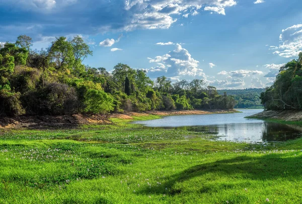 Floresta tropical no parque Ankarafantsika, Madagáscar — Fotografia de Stock