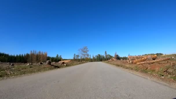 Jesienna przejażdżka samochodem po wiejskim krajobrazie zniszczonym przez beatle kory — Wideo stockowe