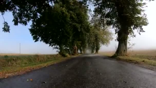 Conducir en coche de otoño en el paisaje rural — Vídeos de Stock