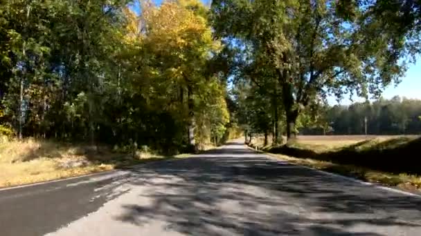 Jesienna jazda samochodem w wiejskim krajobrazie — Wideo stockowe