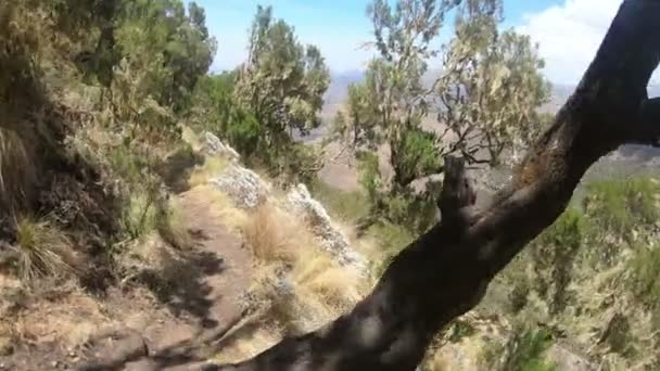 Simien Dağı 'nda yürümek, Etiyopya vahşi doğası, Afrika — Stok video