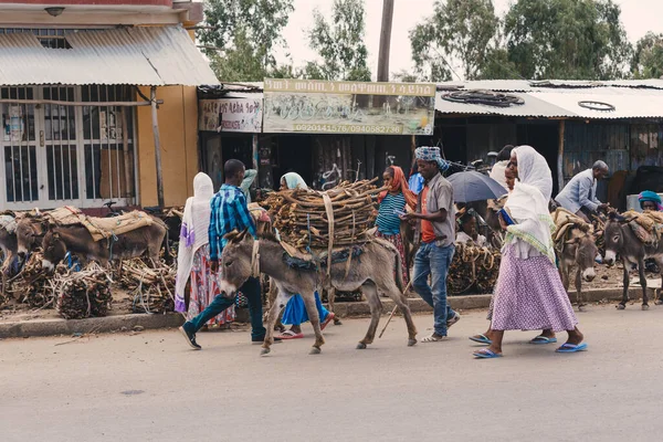 Axum Etiopía Abril 2019 Etiopía Vende Leña Cargada Burros Sucios —  Fotos de Stock