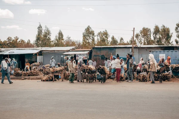 Axum Ethiopia April 27Th 2019 Αιθίοπες Που Πουλάνε Καυσόξυλα Φορτωμένα — Φωτογραφία Αρχείου