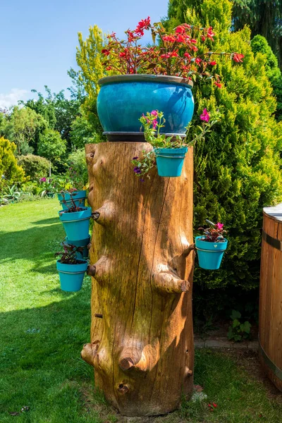 Vacker Sommarträdgård Koncept Blomkrukor Installerade Trädstam Grönt Gräs Och Eftermiddagssol — Stockfoto