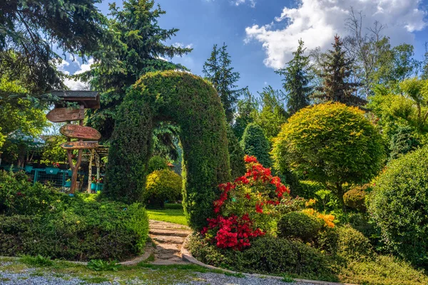 Schönes Sommergartenkonzept Grüne Nadelbäume Grünes Gras Und Nachmittagssonne Luxus Gartenkonzept — Stockfoto