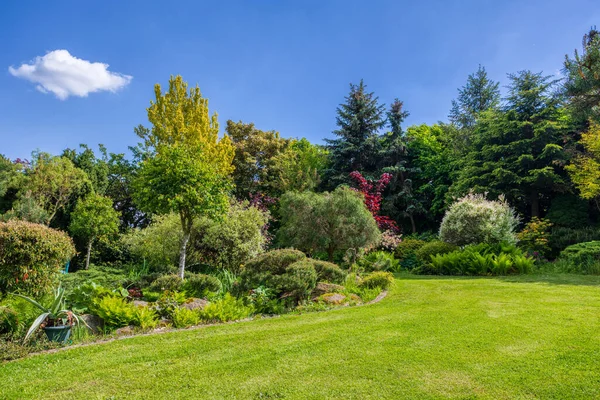 美丽的夏季花园理念 绿色的针叶树 绿草和下午的阳光 华丽的花卉园艺概念 — 图库照片