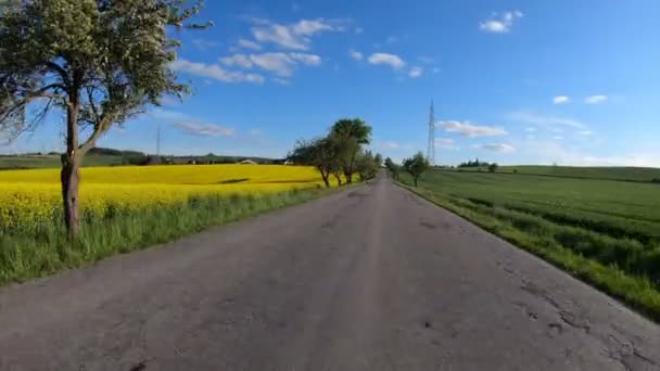 春の田舎道の車の運転畑や牧草地と日当たりの良い風景 ヨーロッパ旅行の概念 — ストック動画