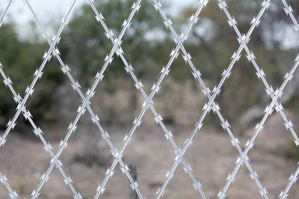 Beperkt Gebied Barbed Fence Security Concept Migrant Scheermes Draad Aan — Stockfoto