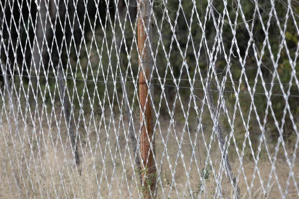 Área Restrita Barbed Fence Conceito Segurança Arame Farpado Migrante Fronteira — Fotografia de Stock