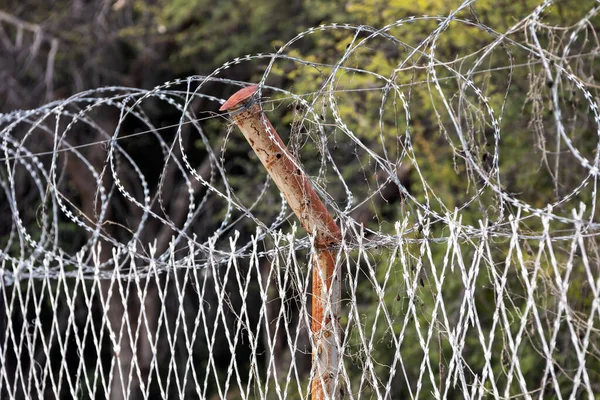 Área Restrita Barbed Fence Conceito Segurança Arame Farpado Migrante Fronteira — Fotografia de Stock